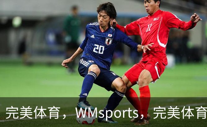 完美体育，WMsports，完美体育官方，完美体育平台，完美体育下载介绍